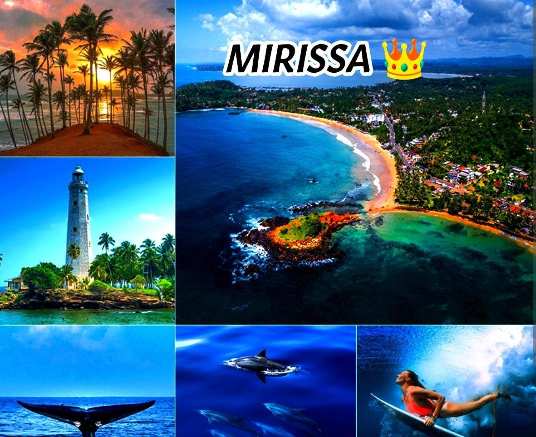 Mirissa Villa Green Pepper Extérieur photo
